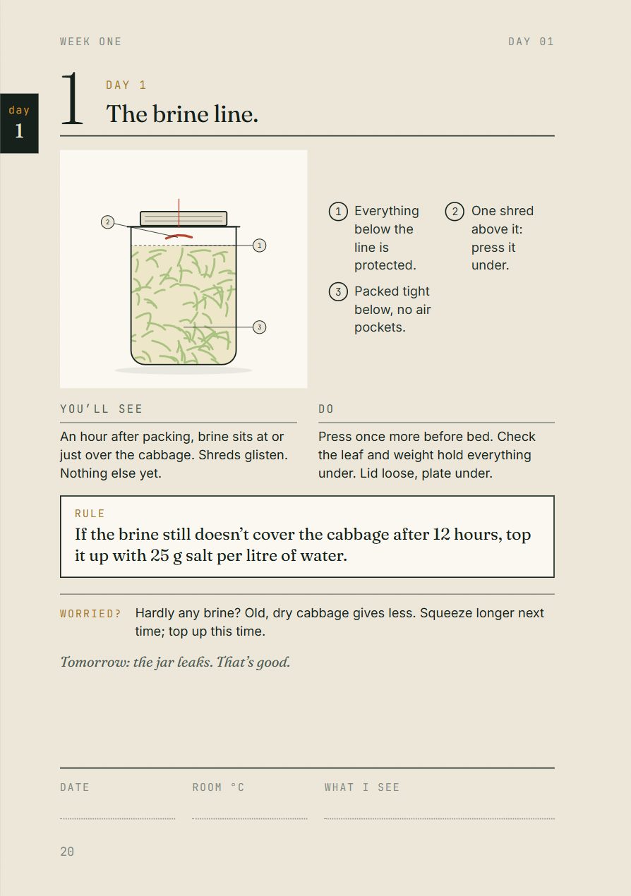 Day 1 page: the brine line, what you'll see, what to do, one rule