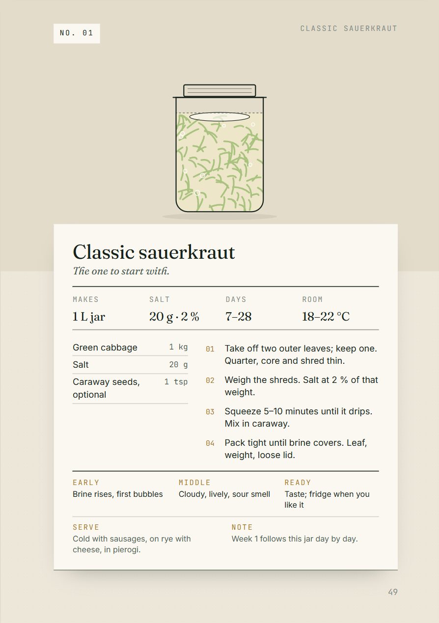 Recipe card page: cabbage, salt, fifteen minutes
